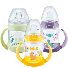 Nuk bottle to sippy best sale