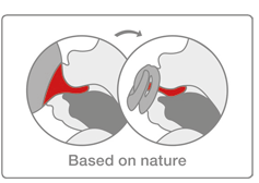 [Translate to english australien:] babies need to suck