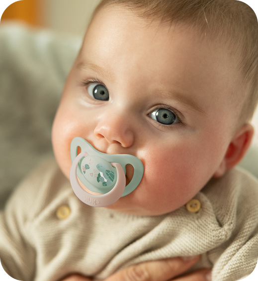[Translate to English (Australia) (Reborn) nuk.com.au:] Baby with soother